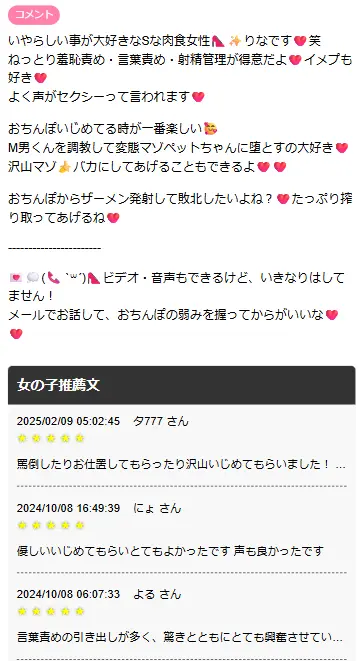 VI-VOの調教好き女子のプロフィール①